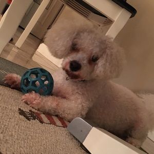 Meet your Posher, Sienna